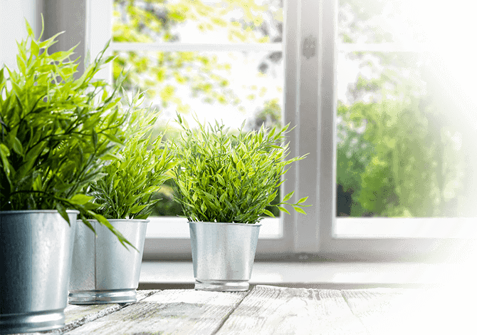 green-banner