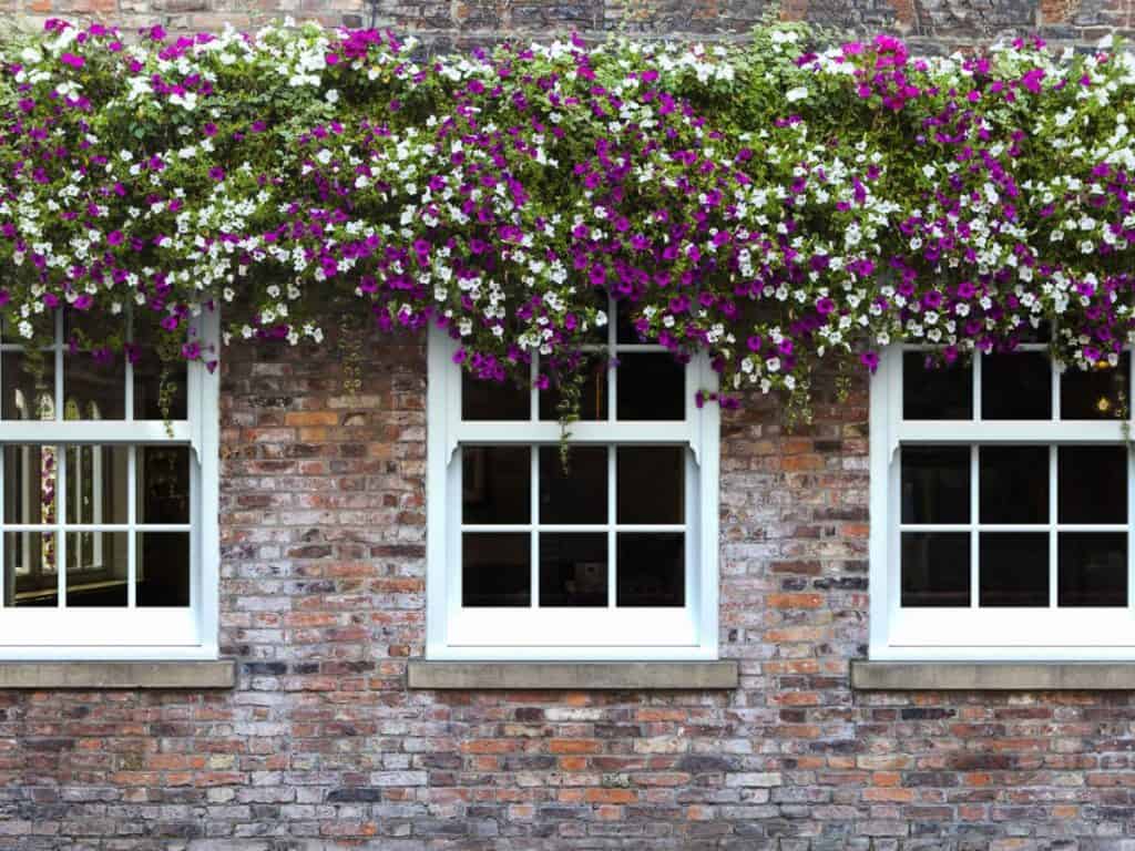 uPVC windows bristol
