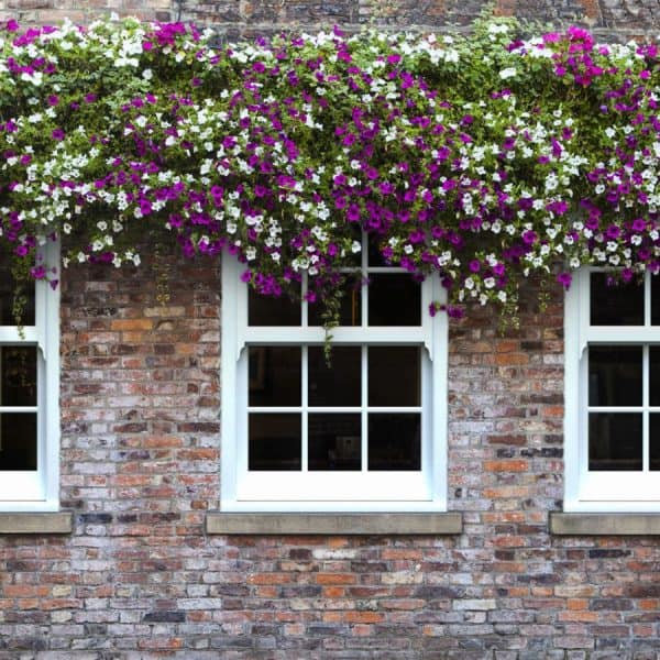 uPVC windows bristol